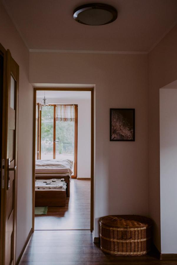 - Alexander Vila